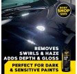 Meguiar's Professional Pro Speed Polish M200